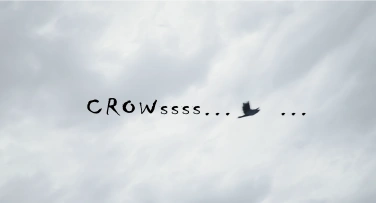 轮迴 | Crow