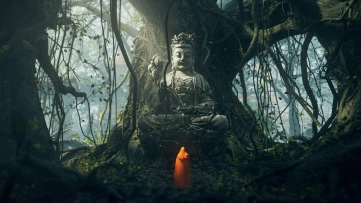 菩提 | Bodhi