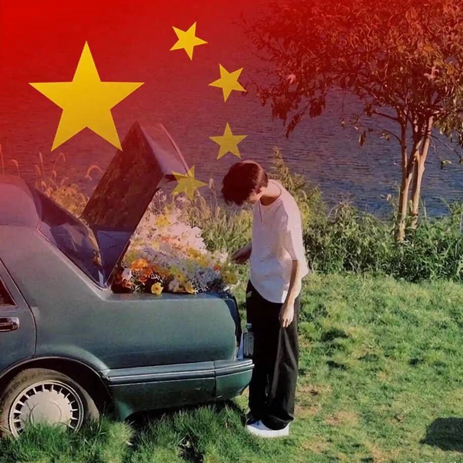 巷子里的猫