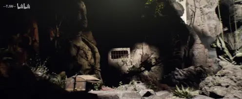 禅中